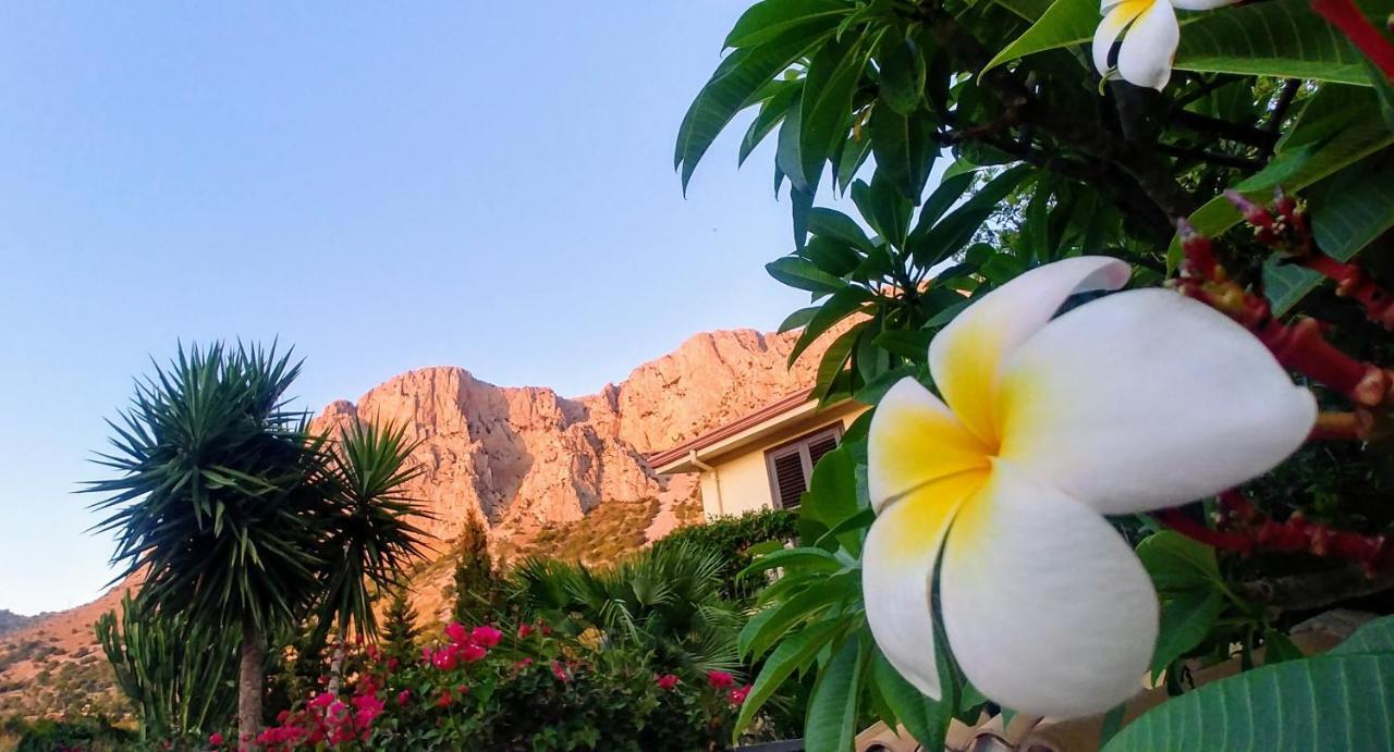 Ciuri Ri Zagara Bed & Breakfast Cinisi Eksteriør bilde